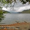 Through the Trees at Glencoyne  Limited print of 5  Mount Sizes 20x16 16x12 12x10 10x8