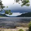 Shoreline Shrubbery 1  Limited Print of 5  Mount Sizes a4 16x12 20x16