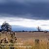 As Autumn Approaches Culloden  Limited Print of 5 Mount Size A4 20x16 16x12