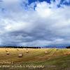 Cardhu Haybales 1  Limited Print of 5 Mount Size A4 20x16 16x12
