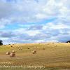 Cardhu Haybales 2   Limited Print of 5 Mount Size A4 20x16 16x12