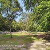 Clava	Limited print of 5  Mount Sizes 16x12 20x16