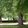 Clava Stone One   Limited print of 5  Mount Sizes A4 16x12 20x16