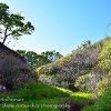 Fairy Glen Ardvarsar  Limited print of 5  Mount Sizes A4 16x12 20x16