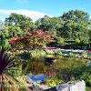 Forres Gardens  Limited print of 5  Mount Sizes A4 16x12 20x16