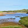 Waters of Philoth   Limited Print of 5 Mount Size A4 20x16 16x12