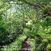 In the Fairy Glen Ardvarsar 1  In the Fairy Glen Ardvarsar 1