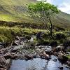 Lone Sapling – Glen Brittle   Limited print of 5  Mount Sizes a4 16x12 20x16