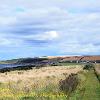 Path to Portsoy   Limited Print of 5 Mount Size A4 20x16 16x12