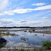 River Spey   Limited Print of 5 Mount Size A4 20x16 16x12