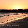 Beadnell Gold  Limited Print of 5 Mount Sizes 20x16 16x12 A4