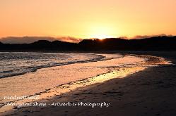 beadnell golds
