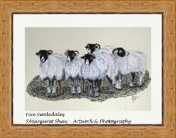 Five Swaledales