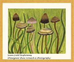 Seven Field Mushrooms