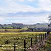 Footpath along Edens Bank.Limited Print of 5 Mount Sizes  A4 16x12 20x16