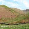 Great Rundale.  Limited Print of 5.  Mount Size  20 x 12.