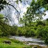 River Teesdale Barnard Castle  Limited Print of 5  Mount sizes 10x8 12x10 16x12 20x16