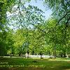 Clava Cairns   Limited Print of 5  Mount Sizes 10x8 12x10 16x12 20x16