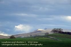 wild boar fell